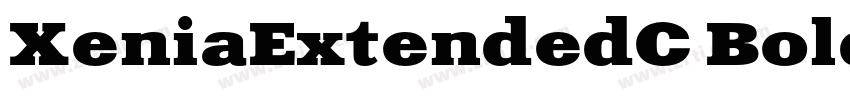 XeniaExtendedC Bold字体转换
